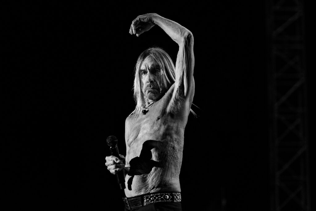 iggy pop