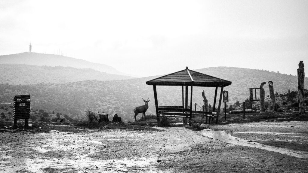 Parnitha_Greece