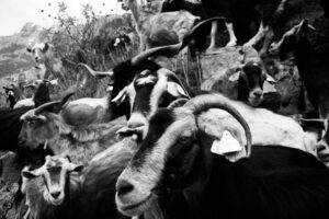 Balkan road trip