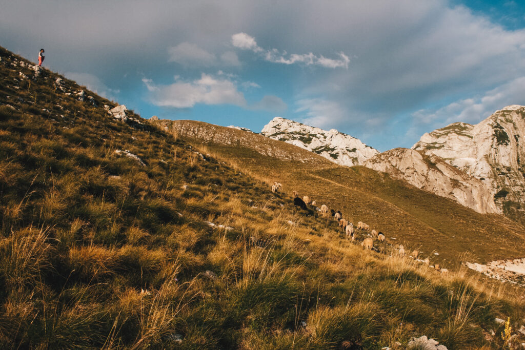 Balkan road trip