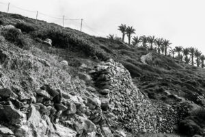 summer in amorgos